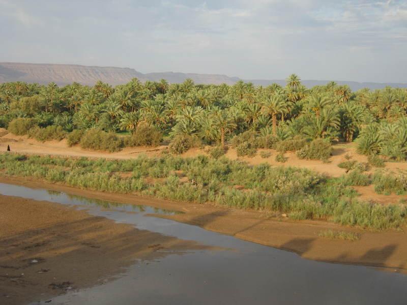 Auberge Toda Kasbah Tinfou Zaouia de Sidi el Mokhtar Ben Ali 外观 照片